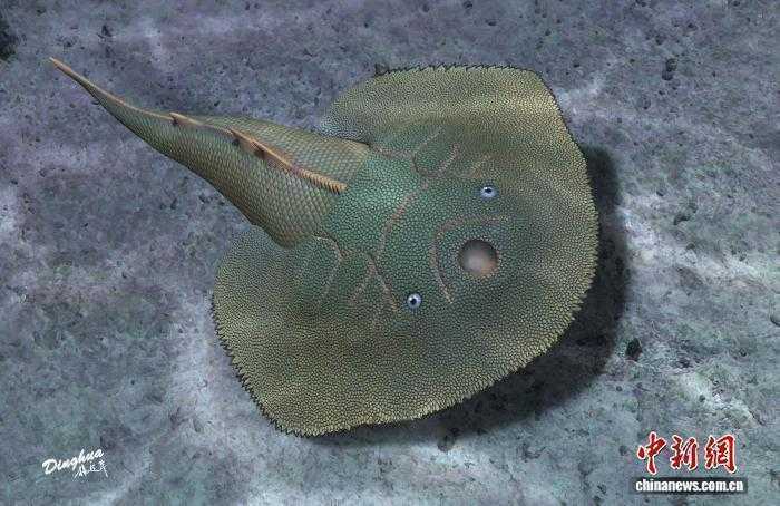  云南曲靖古鱼王国再现珍稀发现；4.19亿年前短耳鸮甲鱼惊现。 文化旅游