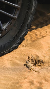  能源巨头调整方向；道达尔能源退出美国海上风电领域，转而聚焦传统能源开发。 股票财经