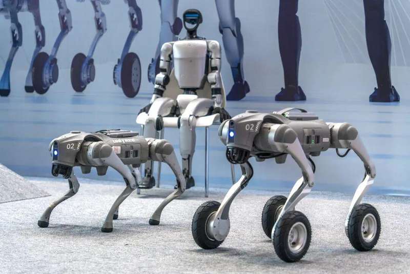  2026年机器人产业风向：从宇树科技IPO看具身智能的商业闭环 IT技术 2026年机器人产业风向：从宇树科技IPO看具身智能的商业闭环 IT技术