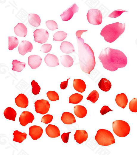  资本如何赋能科技创新？解读主板再融资新标准的深层逻辑 企业服务