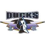  替补席的蛰伏与爆发：一场关键三分引发的职业变局 体育新闻