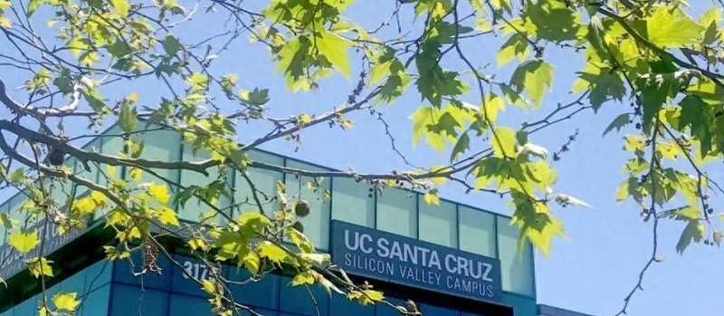  从“一眼识破”到“血本无归”：深度拆解美国年轻人电诈困局的系统级根源 IT技术 从“一眼识破”到“血本无归”：深度拆解美国年轻人电诈困局的系统级根源 IT技术