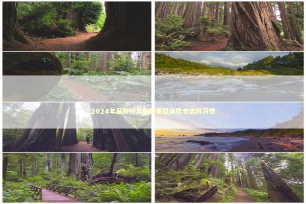 2024年品牌榜单如何重塑消费者选购习惯