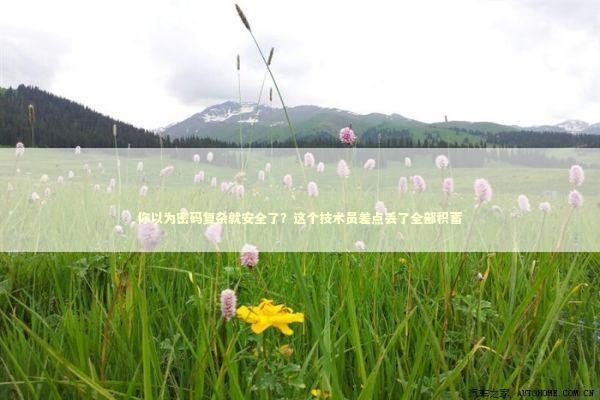 你以为密码复杂就安全了？这个技术员差点丢了全部积蓄 IT技术