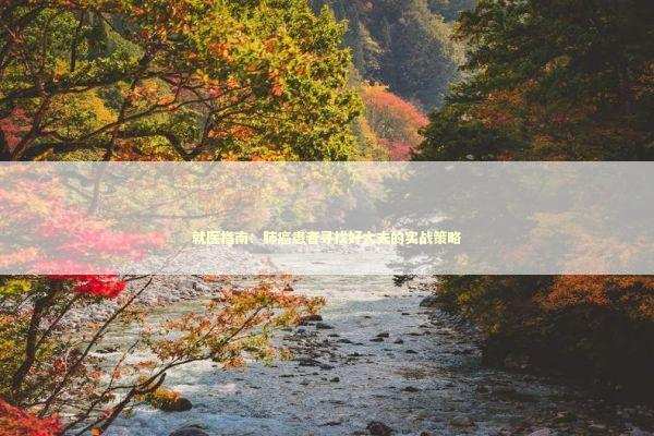 就医指南：肺癌患者寻找好大夫的实战策略 健康养生