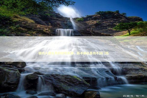 圈内人都在用的秘密武器，新手却总是找不到门路